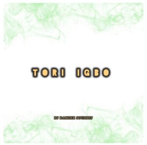 DJ Damlex Soundit – Tori Igbo