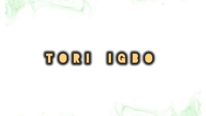 dj damlex soundit tori igbo dj damlex soundit tori igbo