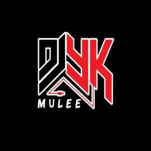 DJ Yk Mule – With You Guitar
