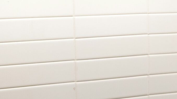 omo ebira laho gbemidebe vibez omo ebira laho gbemidebe vibez