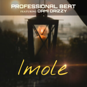 Professional Beat – Imole