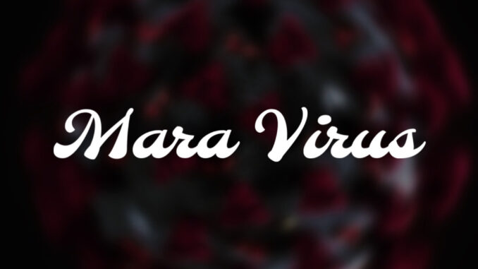 professional beat mara virus