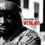 Professional Beat – Were Mo