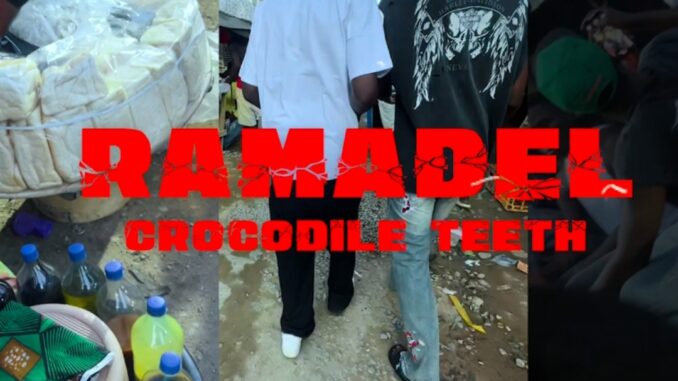 ramadel crocodile teeth ramadel crocodile teeth