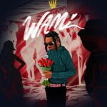 Zayo ft. Mayorkun – Wami