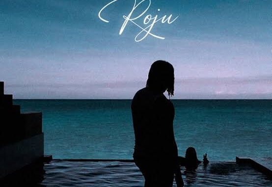 crayon roju crayon roju