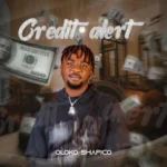 Oloko Shapico – Credit Alert