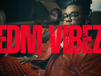 VIDEO EDM VIBEZ – MMMM