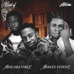 DJ Amacoz – Best Of Mascara Vibez & Marley Fedexz 2025 Mix