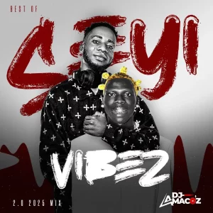 DJ Amacoz – Best Of Seyi Vibez 2025 Mix