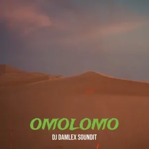 DJ Damlex Soundit & Aunty Sidi – Omolomo