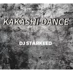 DJ Starkeed – Kakashi Dance