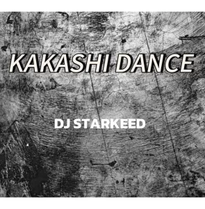 DJ Starkeed – Kakashi Dance