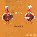 DJ Tansho – Okayy Mara Beat