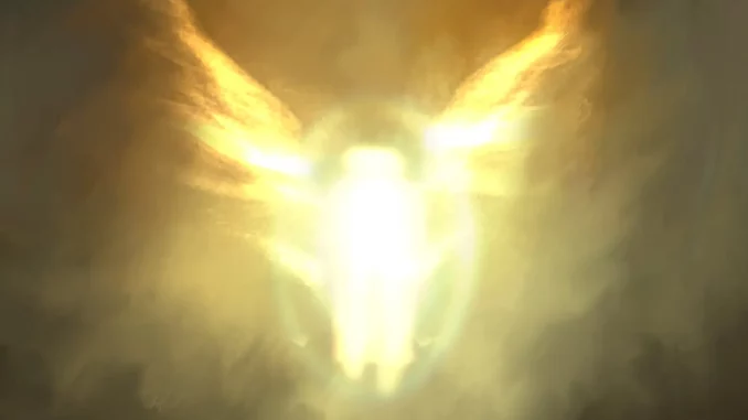 Dave-Tems-Raindance Dave-Tems-Raindance