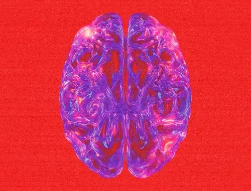 Fireboy-DML-Dopamine