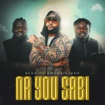 Kcee ft. Umu Obiligbo – Na You Sabi