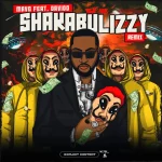 Mavo & Davido – Shakabulizzy (Remix)