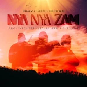 Mellow & Sleazy, Tman Xpress – Nya Nya Zam ft. LastBornDiroba, Zambezi, The Squad