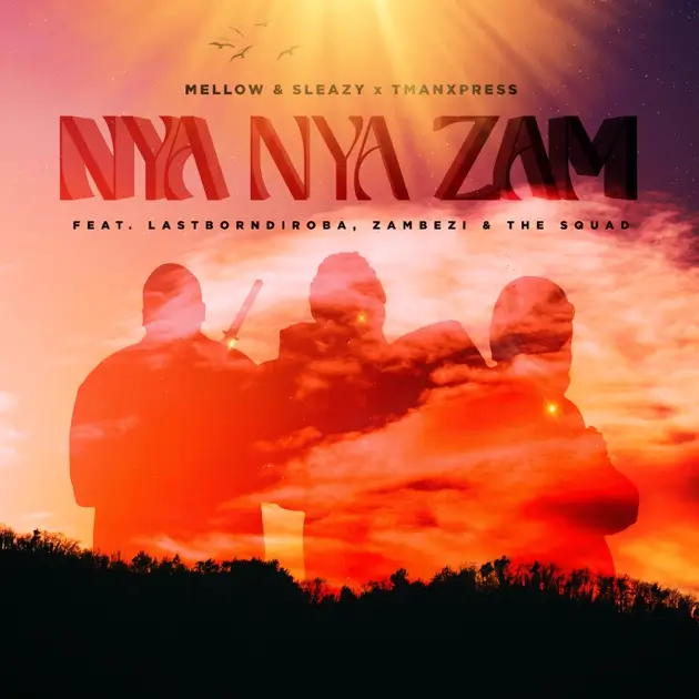 Mellow & Sleazy, Tman Xpress - Nya Nya Zam ft. LastBornDiroba, Zambezi, The Squad