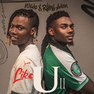 M’kido – Like U (Remix) ft. Remy Adan