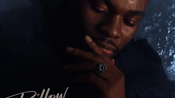 Nonso Amadi - PILLOW