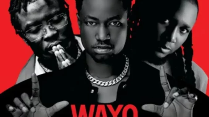 OG Abbah ft. B.O.C Madaki & Mr 442 - Wayyo Allah Na (Remix)