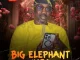Pasuma - Big Elephant Ilaro (Album)