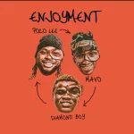 Poco Lee – Enjoyment ft. Mavo & Diamond Boy