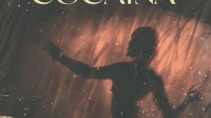 Professional-Beat-Cocaina