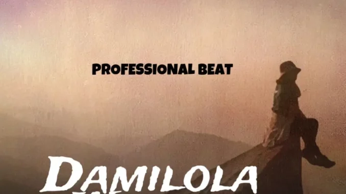 Professional Beat - Damilola Wonder
