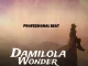 Professional Beat - Damilola Wonder