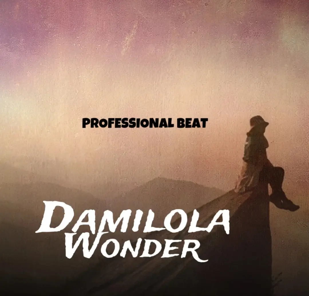Professional Beat - Damilola Wonder