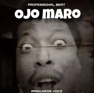 Professional Beat – Ojo Maro (Apankunfor Voice)