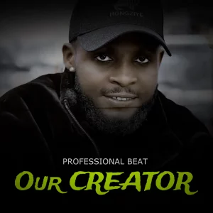 Professional Beat – Our Creator