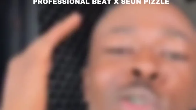 Professional-Beat-Tigirogo-feat.-Seun-Pizzle