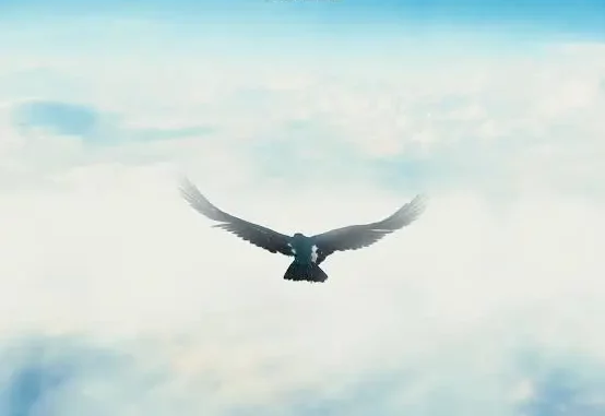 Sarkodie - Otan Sarkodie - Otan