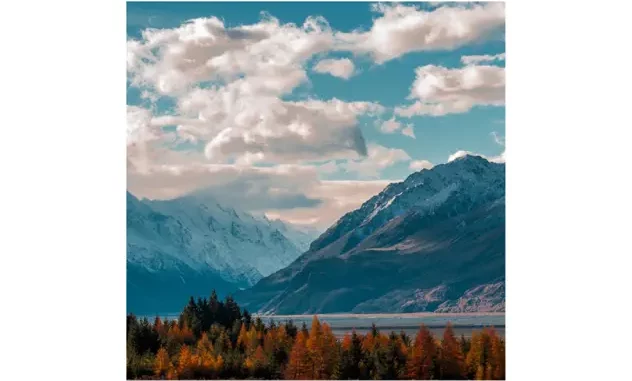 Stuart James - Perfect View