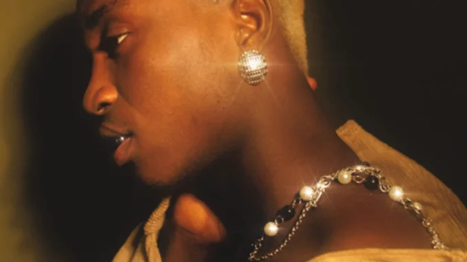 TML Vibez - Timileyin (EP) TML Vibez - Timileyin (EP)