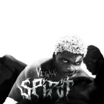 Vicoka ft. Wizard Cha – SPIRIT