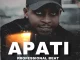 professional-beat-apati