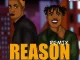 topskey & Cazulee - Reason (Remix)