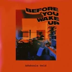 Adekunle Gold – Before You Wake Up