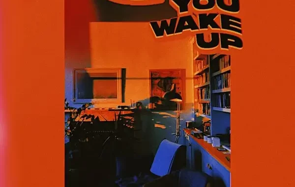 Adekunle Gold - Before You Wake Up