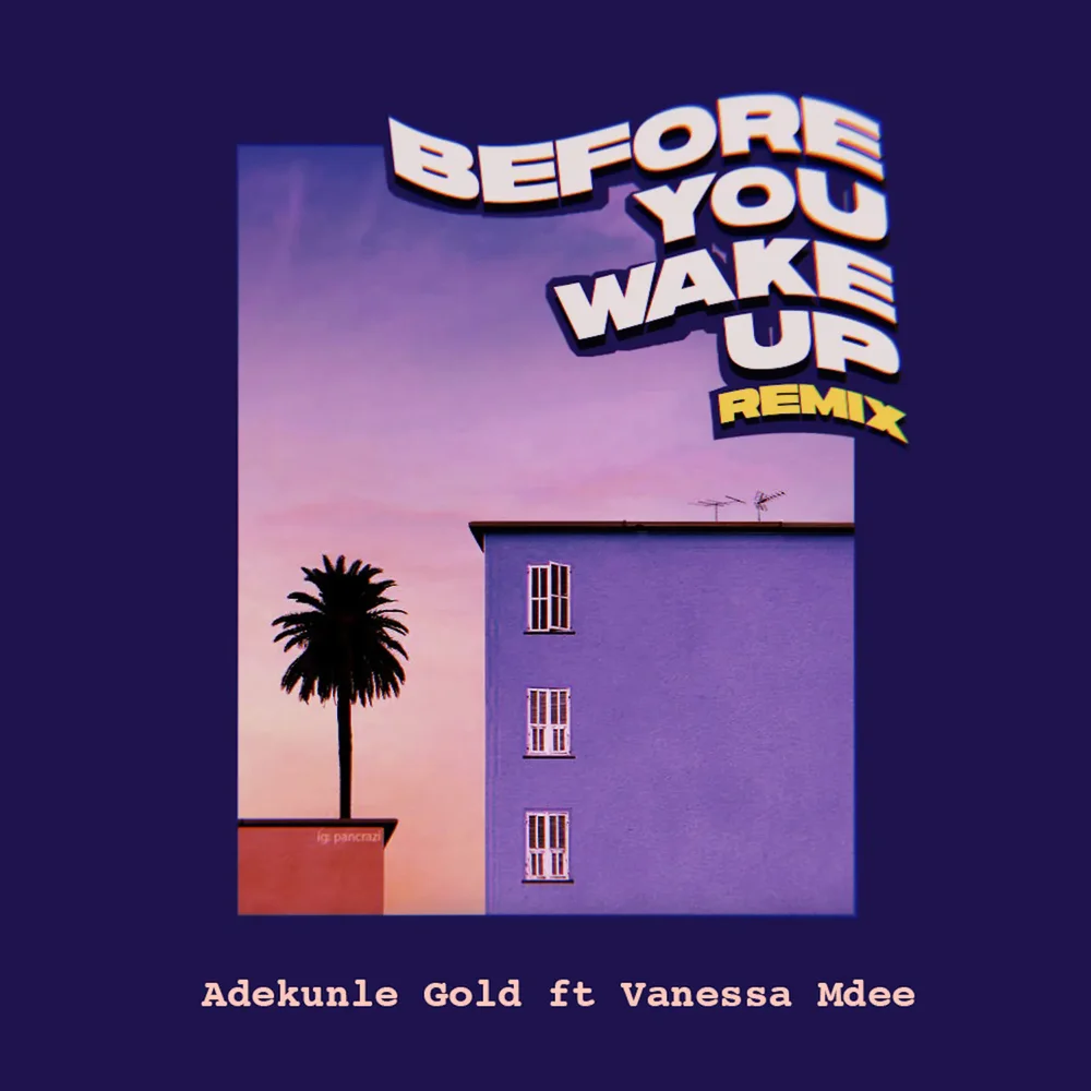 Adekunle Gold ft. Vanessa Mdee - Before You Wake Up (Remix)
