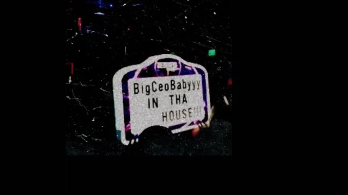 CEOOFPLUG - IMMORTAL