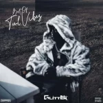 DJ Glitter – Best Of TML Vibez 2026 Mix (A Street Kid’s Diary)