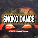 DJ Starkeed – Snoko Dance