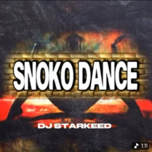 DJ Starkeed – Snoko Dance