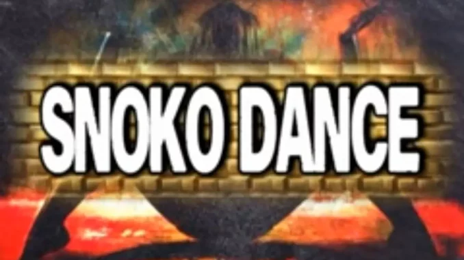 DJ Starkeed - Snoko Dance